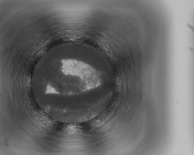 X0000096490657200802141747