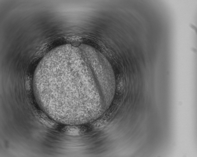 X0000096490658200802141747