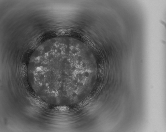 X0000096490659200802141747