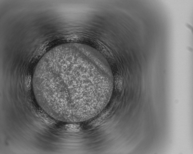 X0000096490660200802141747