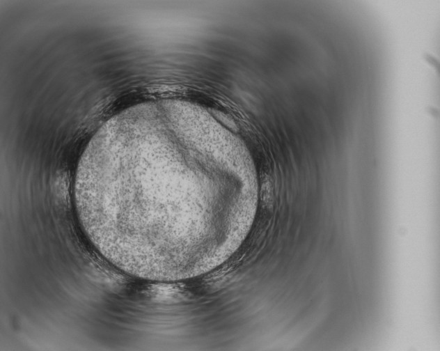 X0000096490662200802141747