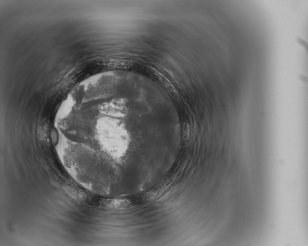 X0000096490663200802141747