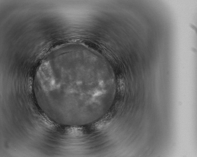 X0000096490664200802141747