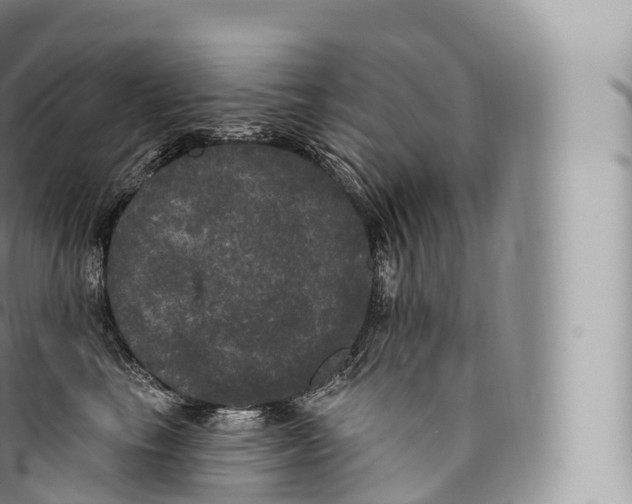 X0000096490665200802141747