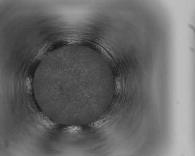 X0000096490667200802141747