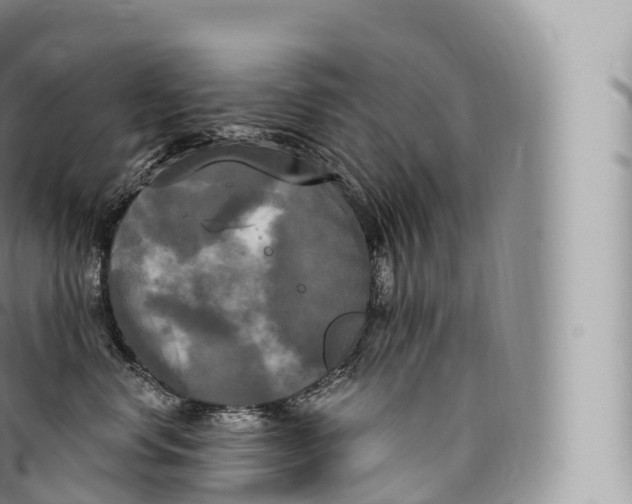 X0000096490668200802141747