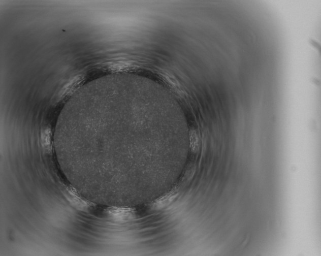 X0000096490670200802141747