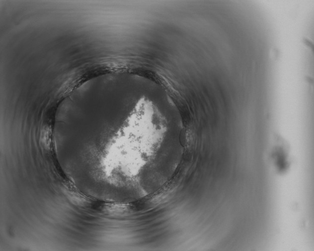 X0000096490671200802141747