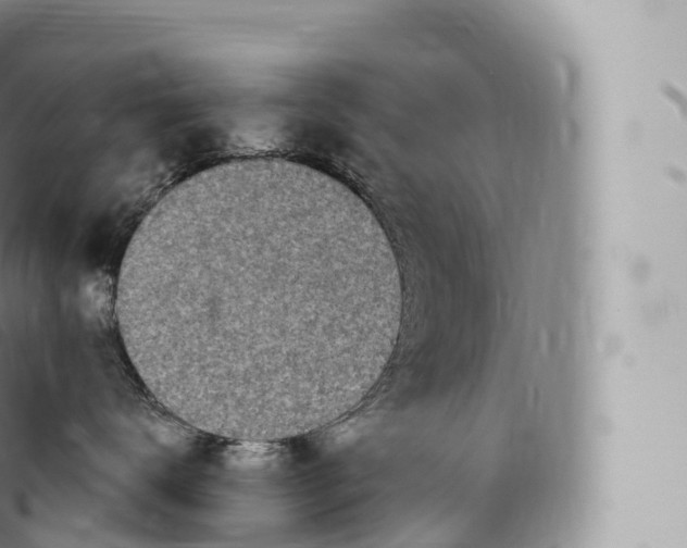 X0000096490672200802141747