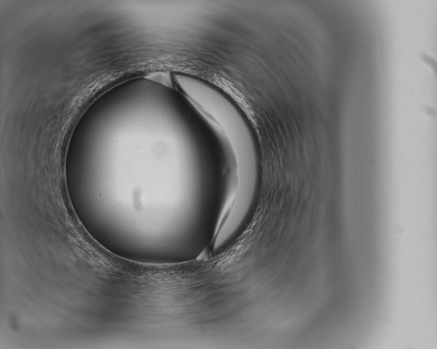 X0000096490673200802141746