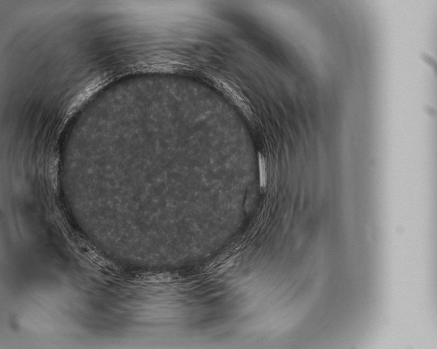 X0000096490675200802141746