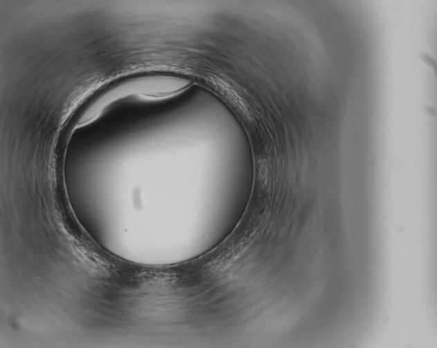 X0000096490676200802141746