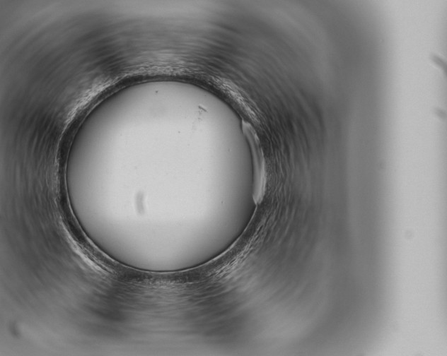 X0000096490677200802141746