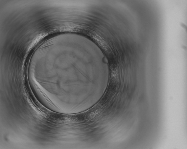 X0000096490678200802141746