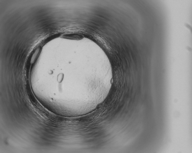 X0000096490680200802141746