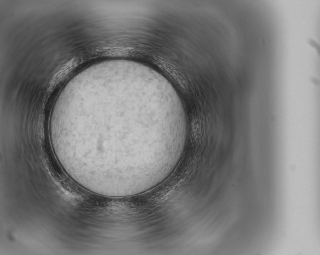 X0000096490682200802141746