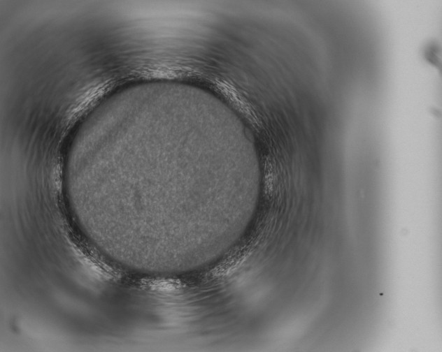 X0000096490683200802141746