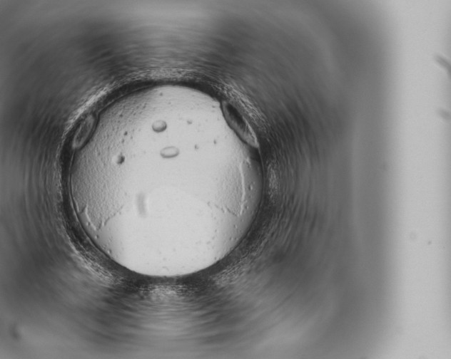 X0000096490684200802141746