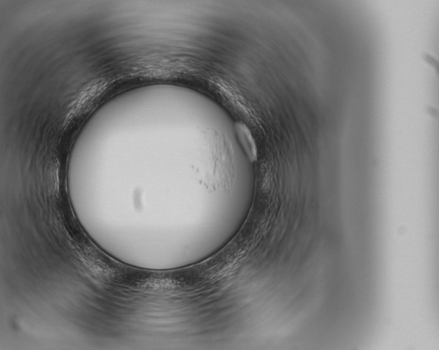 X0000096490685200802141746