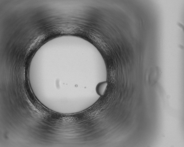 X0000096490686200802141746