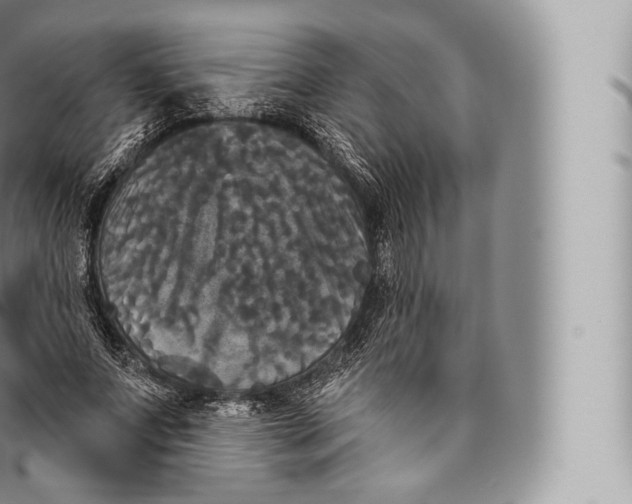 X0000096490687200802141746