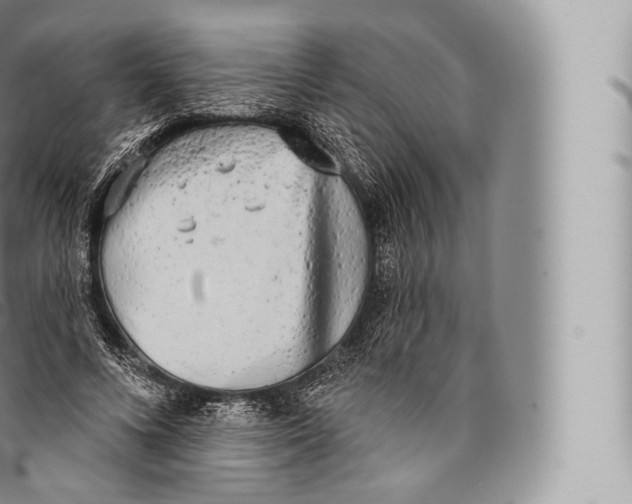 X0000096490688200802141746