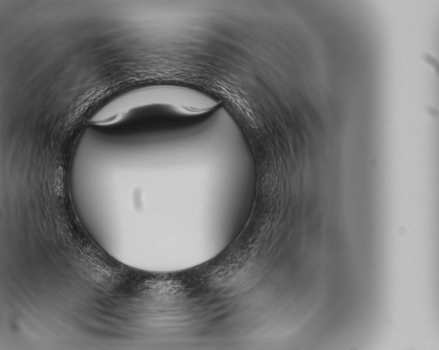 X0000096490689200802141746