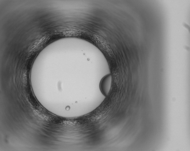 X0000096490690200802141746