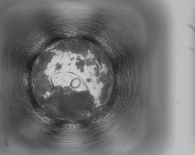 X0000096490691200802141746