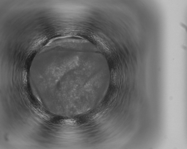 X0000096490692200802141746