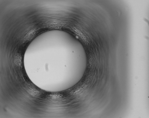 X0000096490693200802141746