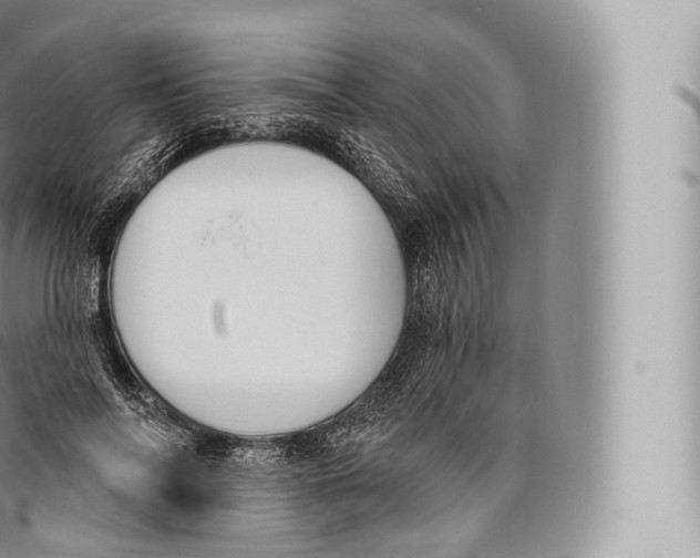 X0000096490694200802141746