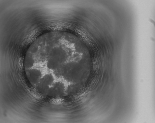 X0000096490695200802141746