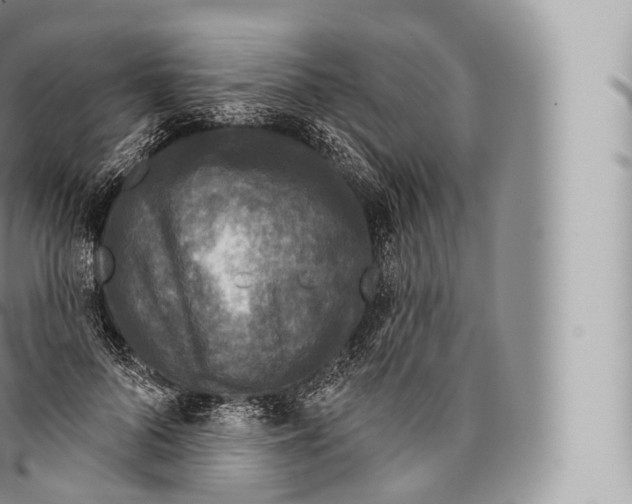 X0000096490696200802141746