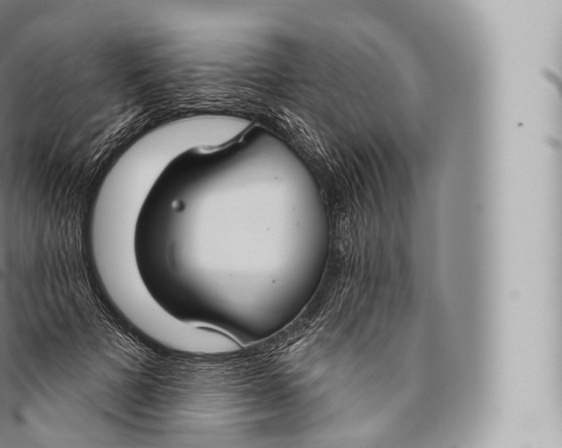 X0000096490697200802141746