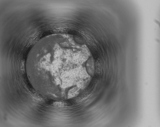 X0000096490699200802141746