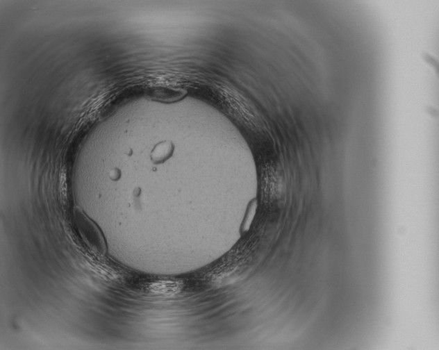 X0000096490700200802141746