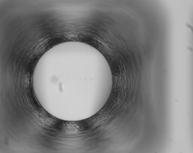 X0000096490702200802141745