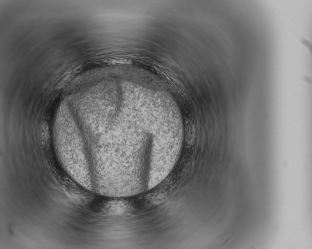 X0000096490704200802141745