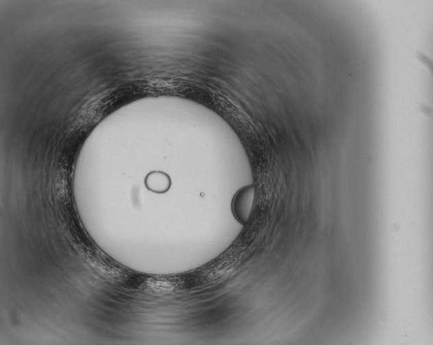 X0000096490706200802141745