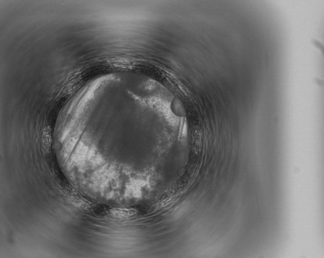 X0000096490707200802141745