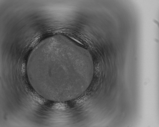 X0000096490708200802141745