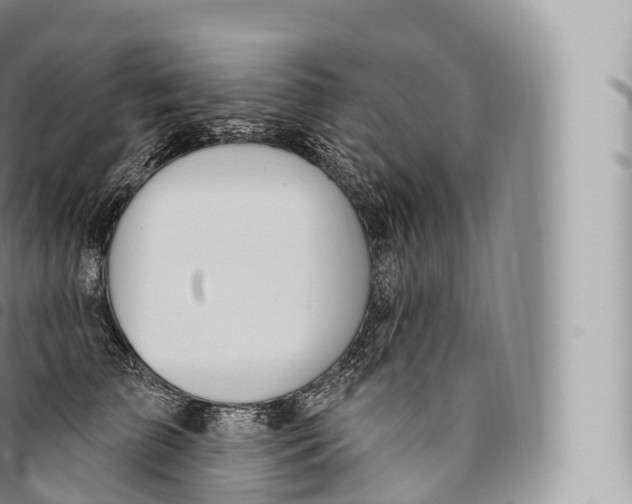 X0000096490709200802141745