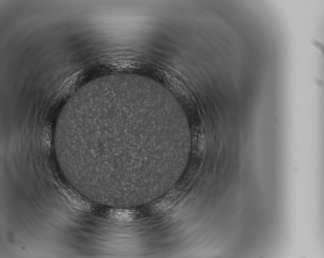 X0000096490710200802141745