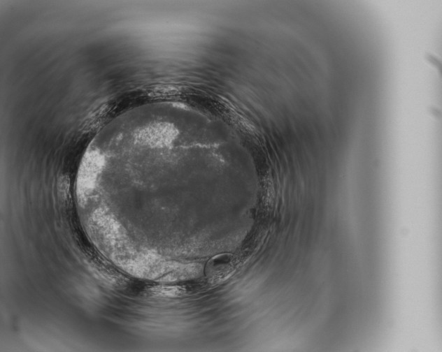 X0000096490711200802141745