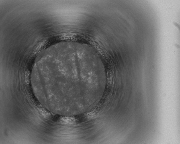 X0000096490712200802141745