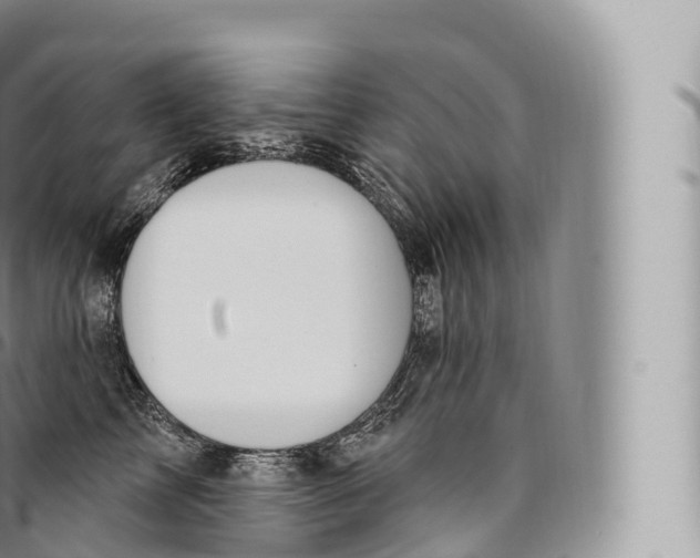 X0000096490713200802141745