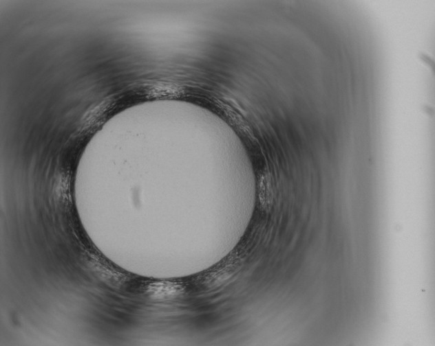 X0000096490714200802141745