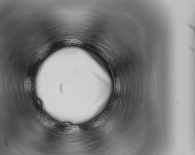 X0000096490715200802141745