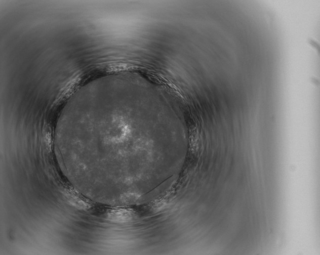 X0000096490716200802141745